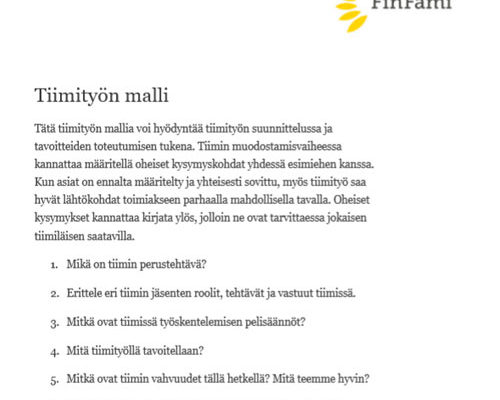 Tiimityön malli