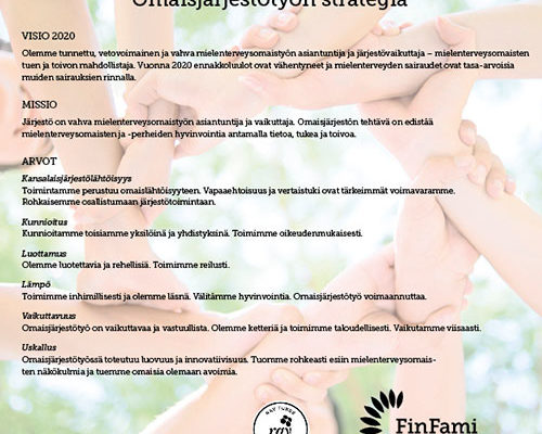 FinFamin strategia